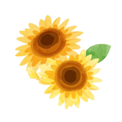 向日葵